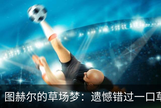 图赫尔的草场梦：遗憾错过一口草的世界杯瞬间