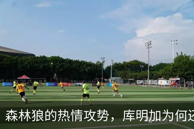 森林狼的热情攻势，库明加为何还是选择他们？