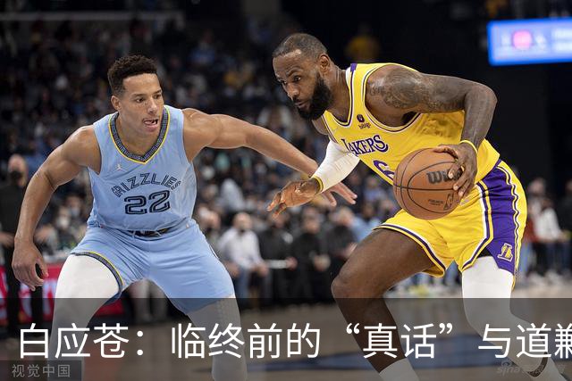 白应苍：临终前的“真话”与道歉，背后的滑稽与讽刺