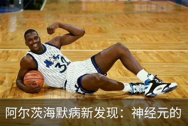 阿尔茨海默病新发现：神经元的“错误启动”，让记忆回归之路重现曙光